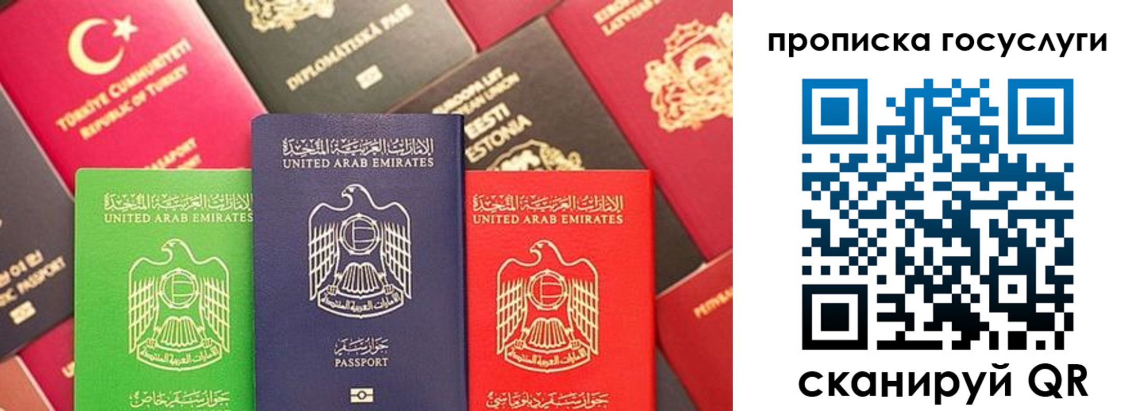 прописка паспорт в Тогучине